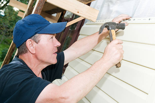Best Stone Veneer Siding  in Conestee, SC